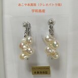宇和島産あこや本真珠（クレオパトラ珠）のネジバネ式イヤリング