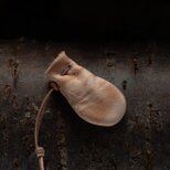 羊革巾着  2250114