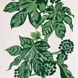 シルクスクリーン版画　ヤツデ