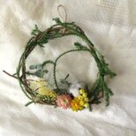 ＊new year企画＊ヒカゲノカズラのくるっとリース