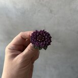 288 ヴィンテージ 静かな紫がひらく花 ― プラスチックフラワーブローチ