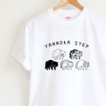 猫のやんのかステップ　メンズタイプ