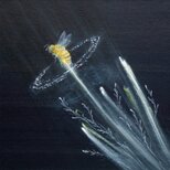 ポストカード２枚セット「ミツバチ」「月光」