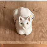 陶器のたんぽぽと白猫(香箱)