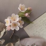 七分咲き 布花ソメイヨシノのコサージュ