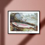 【渓流と虹鱒】レインボートラウト ビンテージ ルアーフィッシング 釣り アウトドア ガレージ 雑貨 A4アートポスター