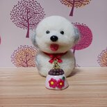 小さな瞳にプクプクの可愛いワンちゃん　羊毛