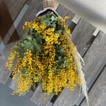 ユーカリとポンポンミモザ5