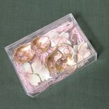 桜のセット（白）