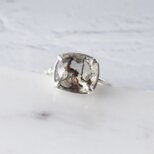 デンドリティッククォーツring / Silver