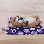羊毛フェルト かわいい酔っ払い猫 ミニチュア日本酒ボトル抱っこ・魚缶詰付き