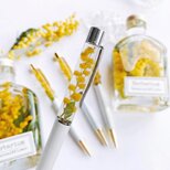 春を告げるミモザのハーバリウムボールペン spring フラワーギフト 母の日