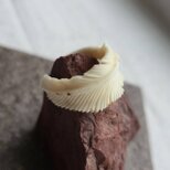 鹿の角 フェザーリング「展開」 約18号