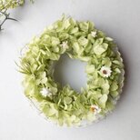 グリーンミニリース　春夏プリザーブドフラワー　紫陽花　玄関　インテリア　ナチュラル