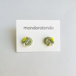 ピアス／garden 小さな花冠 ／SUS316Lｻｰｼﾞｶﾙｽﾃﾝﾚｽ／ライトグリーン p1