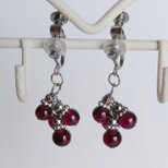 【1月の誕生石】ガーネット 天然石 サージカルステンレス イヤリング ピアス