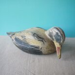 木製デコイ　マガモ囮鳥　バードカービング　ドイツ