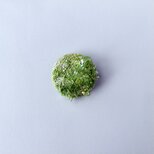 　"shinryoku" ひかり溢れる新緑グリーン　/手刺繍丸型スパンコールブローチ