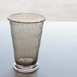 ヒカリヒトスジグラス(セピア)
