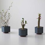 MYK：FLOWER POT- rin（２号）【 凛 瓦 花瓶 花器 フラワーベース 多肉 植物 植木鉢 穴あり 新潟 】
