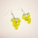 ミモザ　ピアス／イヤリングの画像