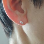 14kgf　小さな真珠のピアス　twinsの画像
