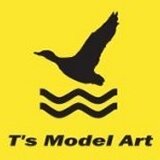 ts-model