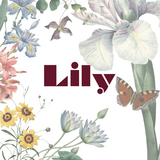 Lily/ DiDi by Lily