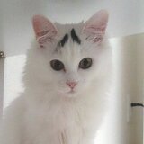 わたなべまさあき