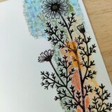 杉澤由紀子