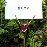 mokujii