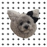 ハリカエ ミホ