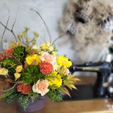 flower shop　花詩〜はなうたい〜