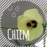 chiem