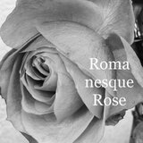 RomanesqueRose