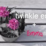 twinkle echo