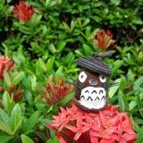 福獅☆fukushi～shi