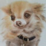 いながわ　みつこ