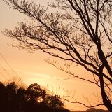 晴れたらいいね