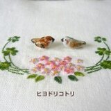 ヒヨドリコトリ
