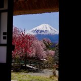 ツパイ工房（ガラス・金工）