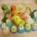 工房小鳥屋さん