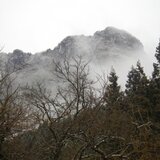 こじかふぁーむ