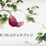 つれづれスケッチブック