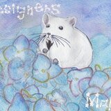 デザイナーず　まこ