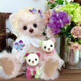 むぎゅ❤︎べあ