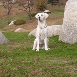 ちびとナナ