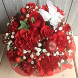 きゃぺきゃぺasako