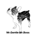 MrGentle MrBoss
