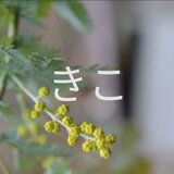 アンティークドボタンキコ